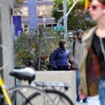 NYU Acceptance Rate: Class of 2029