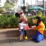 What Is the Disney College Program?