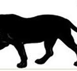 Suitland Elementary School