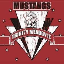 Trinity Meadows Intermediate School