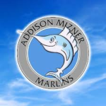 Addison Mizner Elementary School