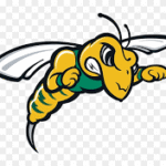 Black Hills State University