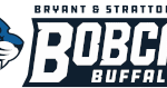 Bryant Stratton College – Buffalo