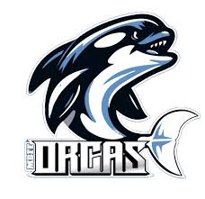 Fienberg Fisher K-8 Center