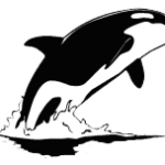 Maplewood Parent Coop