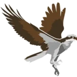 Pinellas Academy Of Math And Science