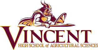 Vincent High School